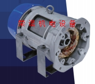 SB油浸式电机 45KW 4级 SBBL4P303图1