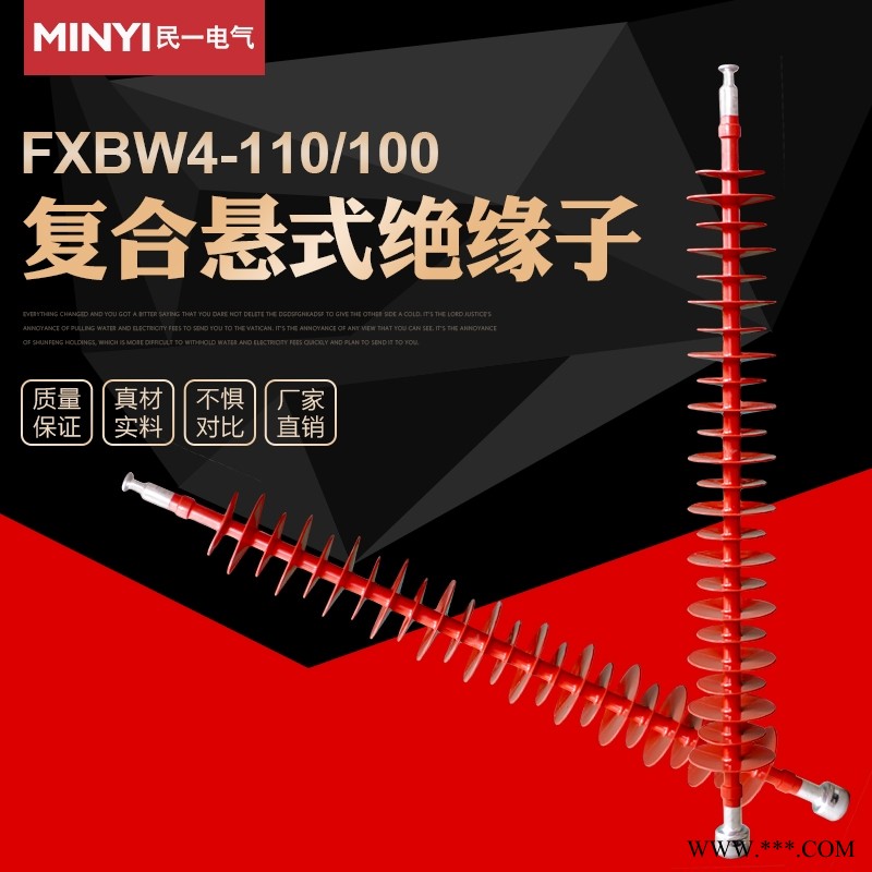 江苏南京 复合悬式绝缘子FXBW4-110/100 实力厂家图1