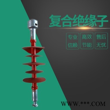 供应棒型悬式复合绝缘子FXBW-10/70生产厂家图1
