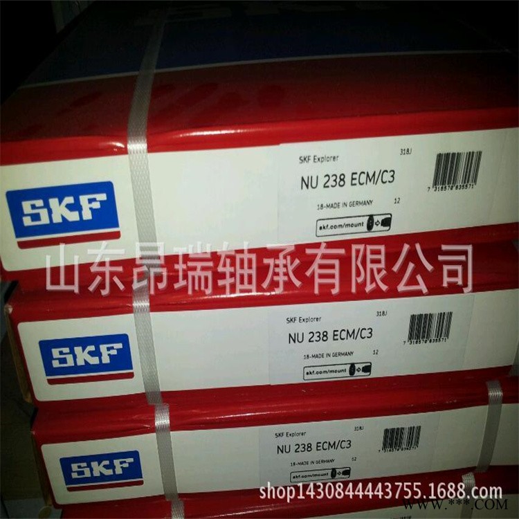 SKF进口轴承  NU238ECM/C3    SKF 圆柱滚子轴承 NU228ECJ图1