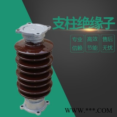 支柱瓷绝缘子ZSW-35/5生产厂家图1