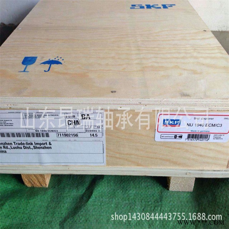 SKF进口轴承 NU1040ECM/C3 圆柱滚子轴承 NU1044ECM图1