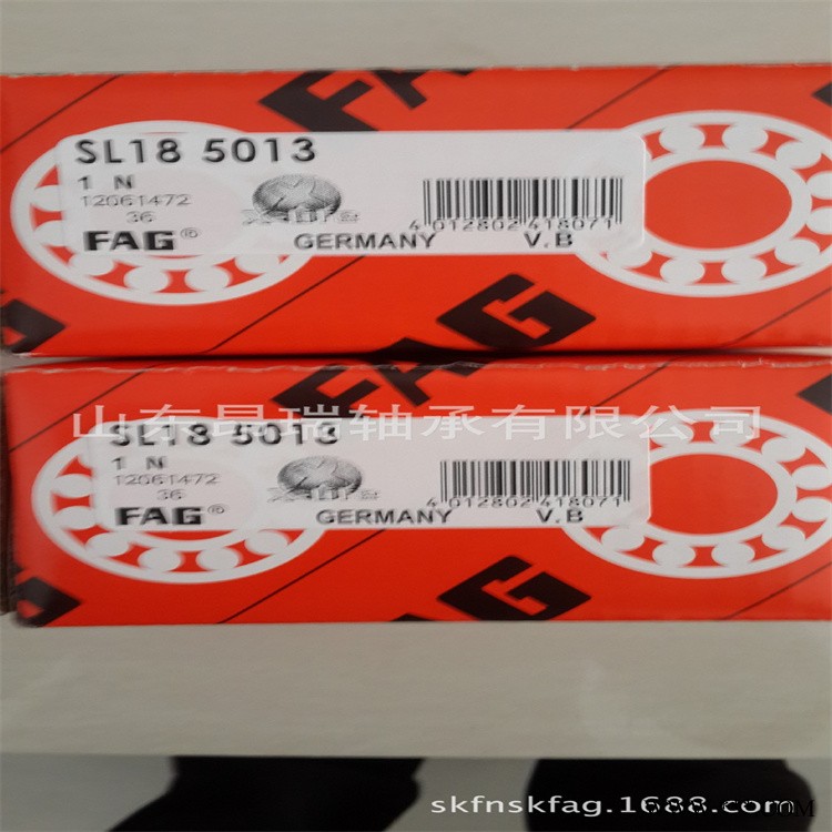 德国FAG 原装进口 SL185013  满装圆柱滚子轴承SL18 5014图1