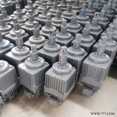 推动器ED-3000/120电力液压推动器ED-1250/60焦作市液压制动器厂家
