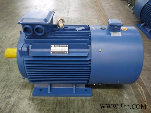 六安江淮电机变频高压电机YPKK-450-4-280KW-10KV图1