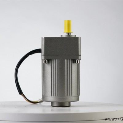 微型交流齿轮电机15W