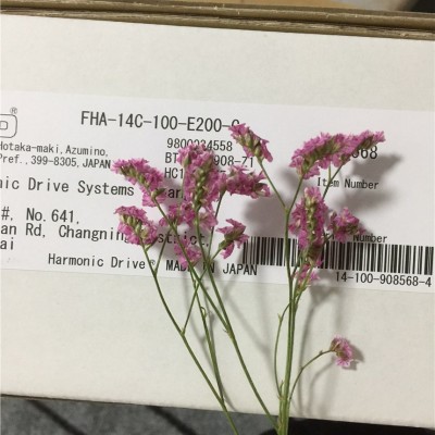 哈默纳科柔性偶合器谐波单元CSF-25-50-2UH