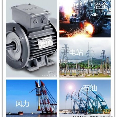 西门子电机 0.55KW~315KW三相异步交流2 4 6级01 03 0301销售各系列