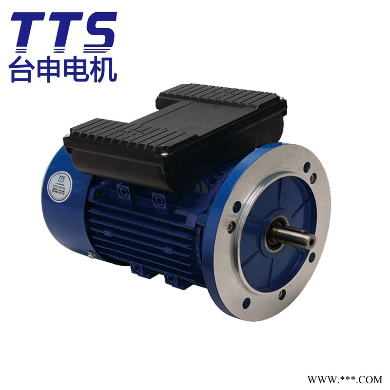 TAIWAN TAISHEN TTS MOTOR 立式 YX3-7134 单相铝壳电机 厂家供应图1