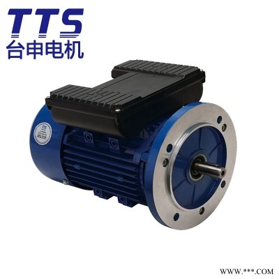 TAIWAN TAISHEN TTS MOTOR 立式 YX3-7134 单相铝壳电机 厂家供应