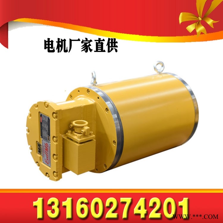 YBSD-250/125-4/8（660/1140）矿用隔爆型双速三相异步电动机图1