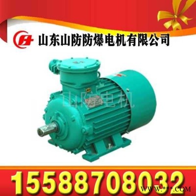 YBSD160/80-4/8矿用隔爆型双速三相异步电动机YBSD160/80-4/8矿用水冷双速电机