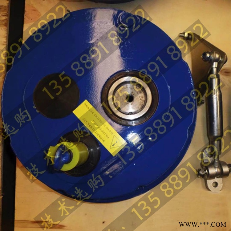 ZGY710.100悬挂式齿轮减速机图1