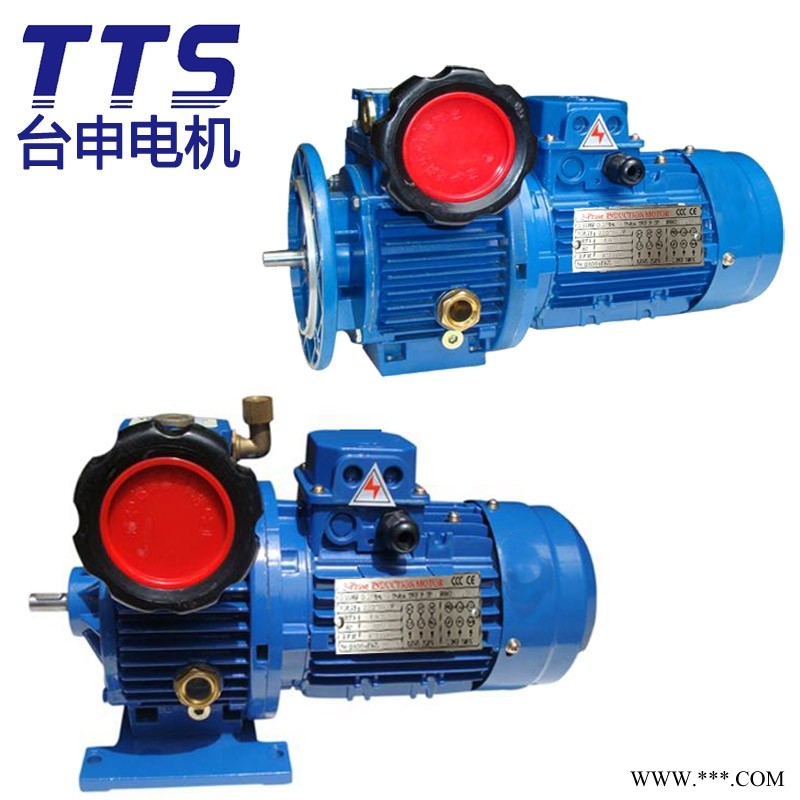 TAI SHEN MOTOR 台湾马达厂 无段变速机 无极变速机 厂家热销图1
