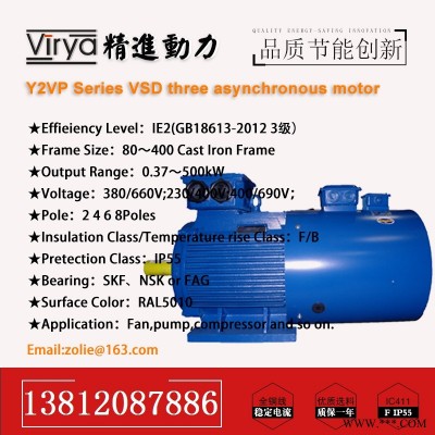 Y2VP-90S-6-0.75KW三相交流电动机Virya品牌厂家直销变频电动机
