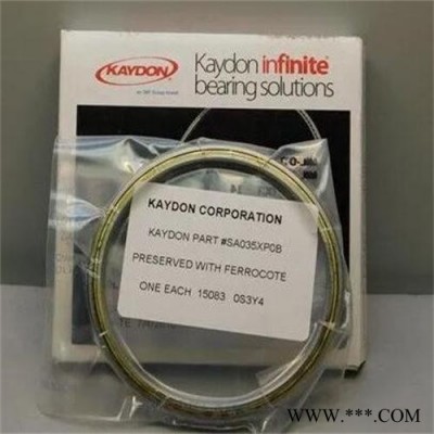 美国KAYDON探针台轴承