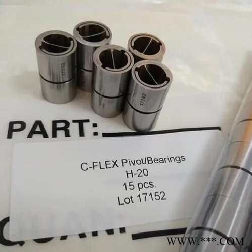 C-FLEX十字弹簧轴承图1
