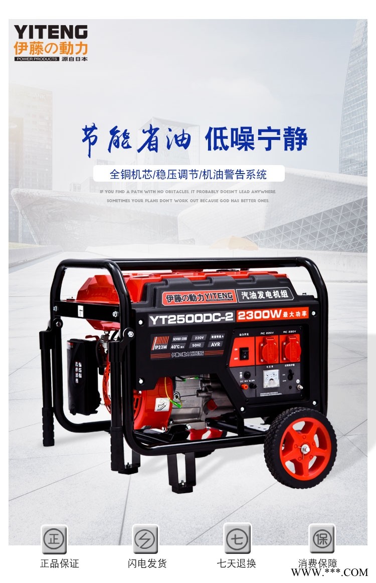 伊藤动力YT2500DC-2图1
