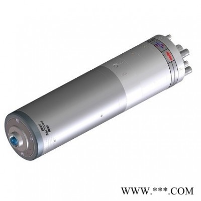Fischer Precise电主轴SD 60124