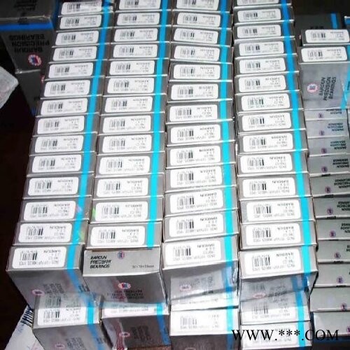 美国BARDEN电动工具轴承图1