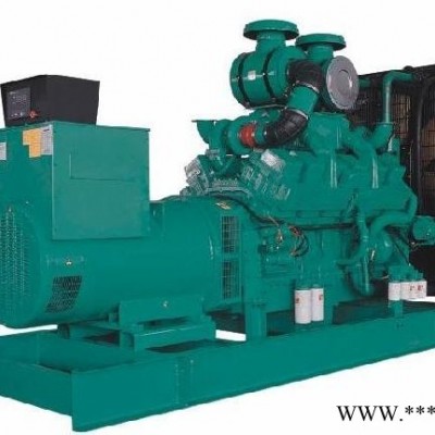 欢迎新县租赁出租-发电机低噪音机组外租