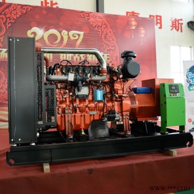 广西玉柴200kw千瓦天然气发电机 LNG燃气发电机组 环保达标质量可靠