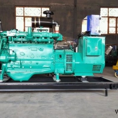 潍柴50KW养殖专用沼气发电机组 配置潍柴WP4D66E300NG 小型养殖场备用发电机