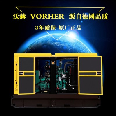 22KW柴油发电机组沼气