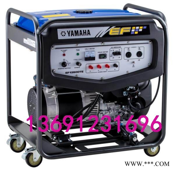 雅马哈发电机EF13500TE图1
