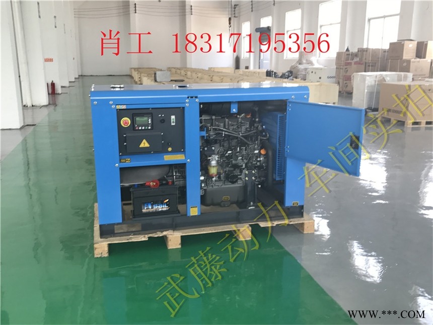 30千瓦进口超静音发电机饭店专用图1