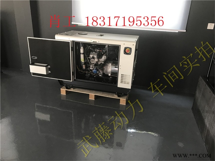 30KW6kw汽油发电机箱式便携式图1