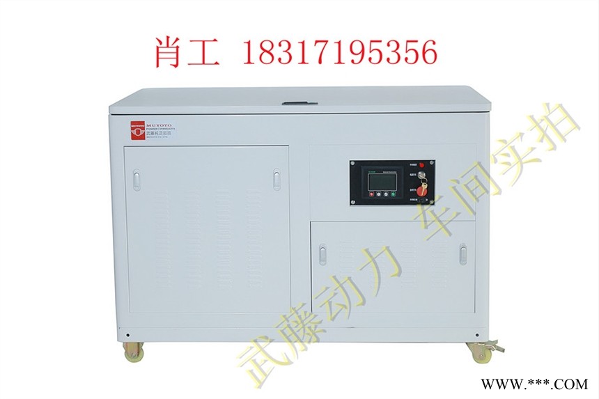 瑞昌40kw15千瓦汽油发电机|四缸静音发电机价格图1