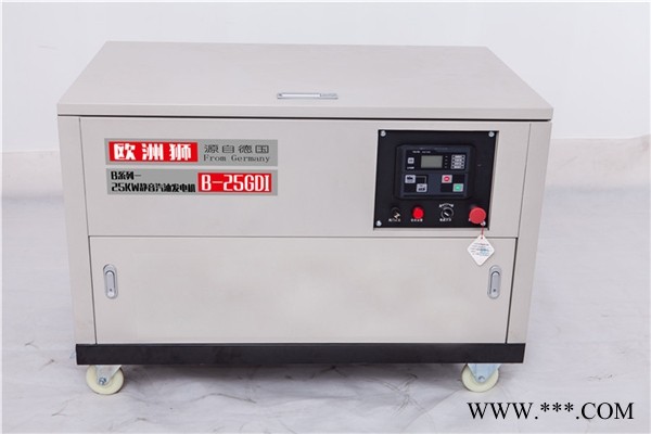 25kw汽油发电机带箱柜图1