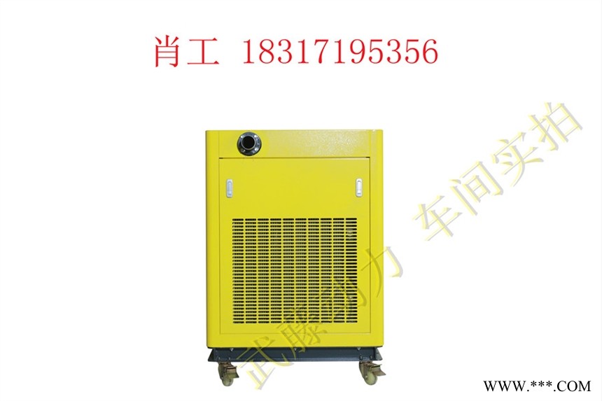 商丘550KW电启动三相30kw汽油发电机图1