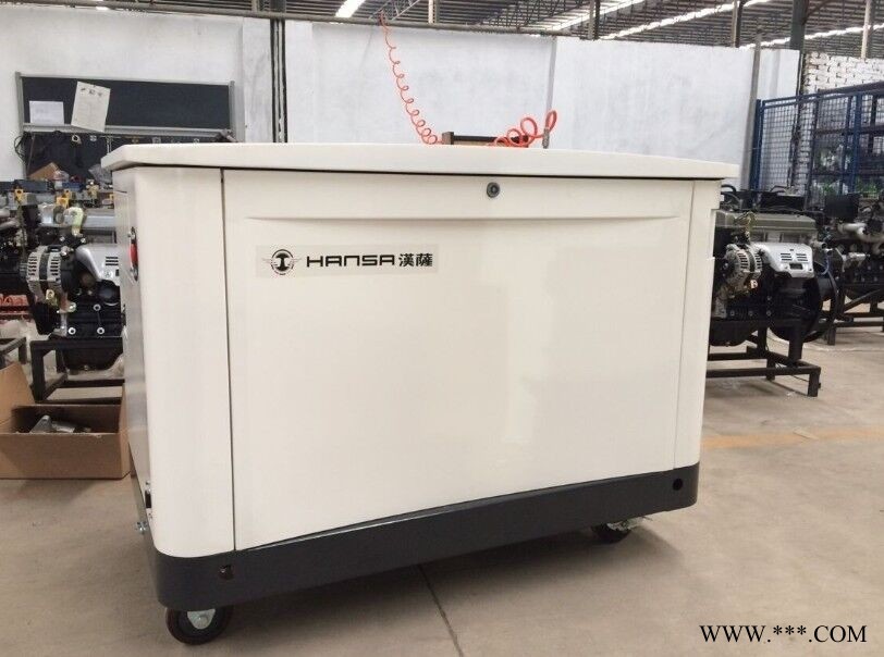 20kw汽油发电机厂家价格图1