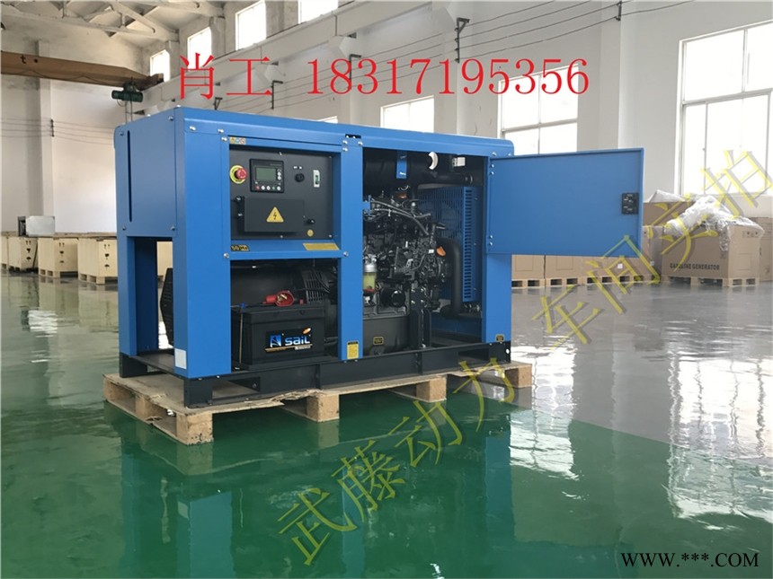 450KW汽油发电机_静音汽油发电机_20千瓦机房静音用汽油发电机进口图1