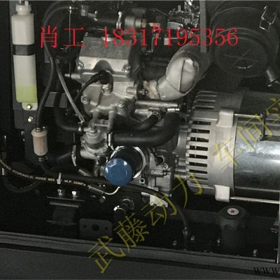 10千瓦本田动力10KW汽油发电机风冷