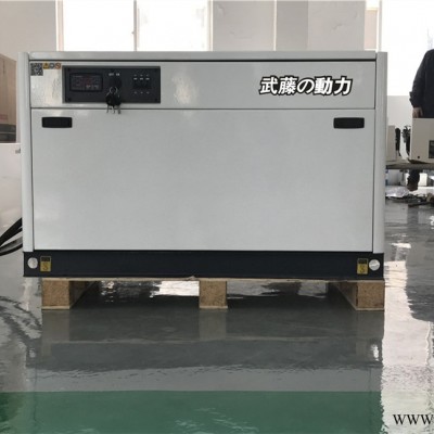 东昌府区7.5KW单相汽油发电机报价