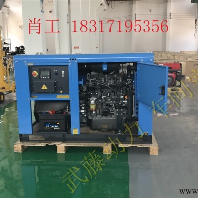 瓮安县700KW罗宾汽油发电机