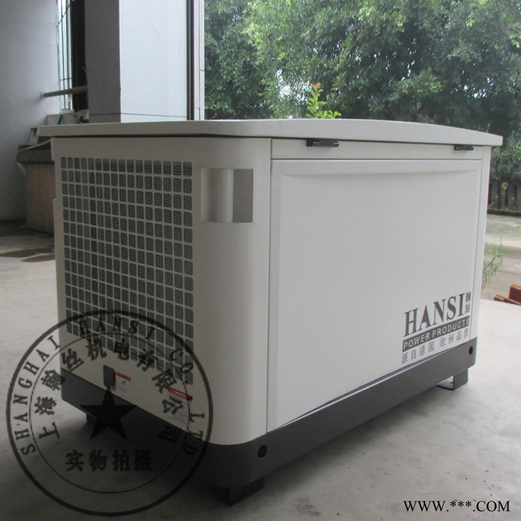 便携式20kw三相汽油发电机图1