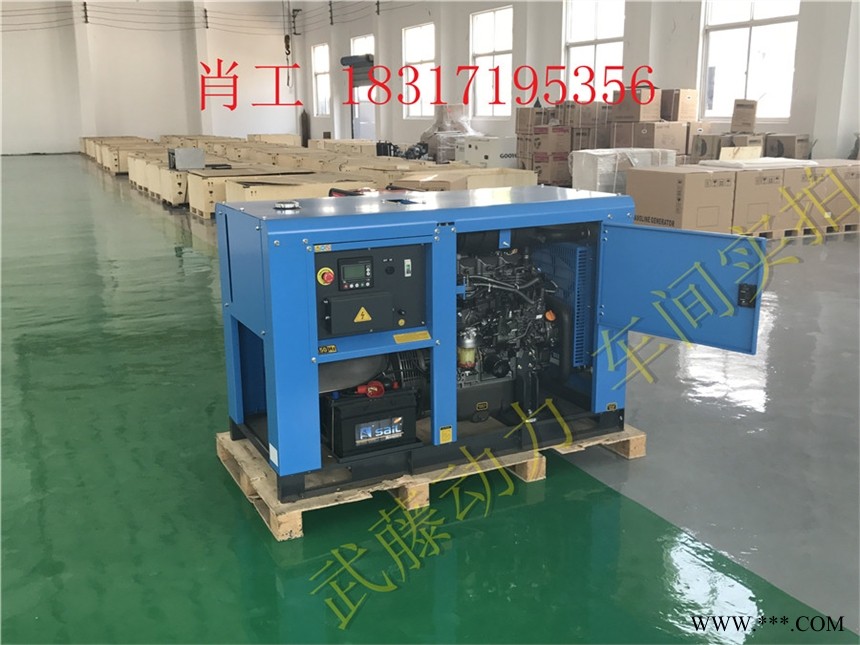 18kw20kw汽油发电机厂家220V图1