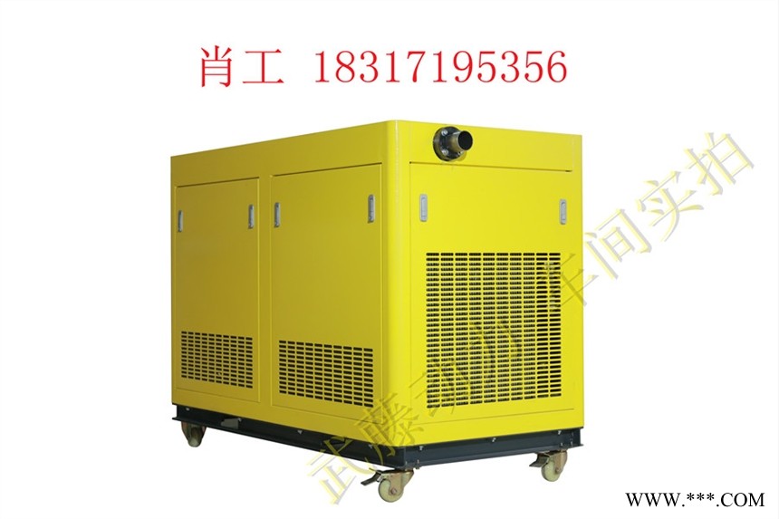 240KW10kw汽油发电机油耗无线遥控图1