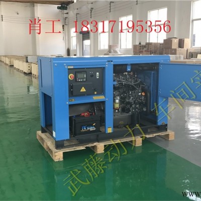 庄浪县13KW25KW静音汽油发电机