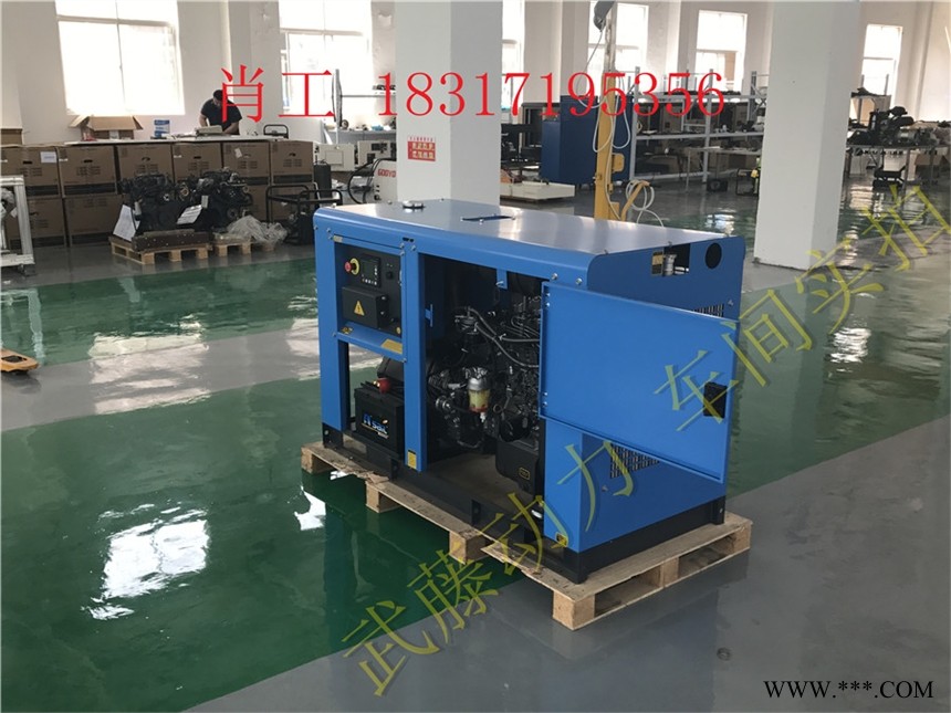 靖江20千瓦20KW全自动汽油发电机,20KW三相汽油发电机图1