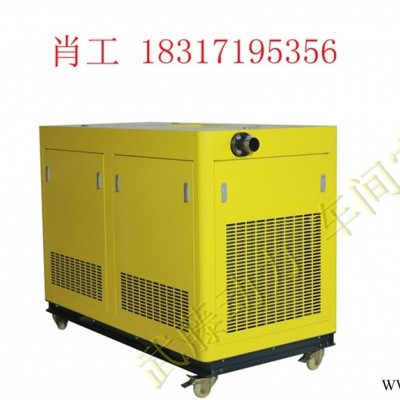 冷水滩区13KW箱式便携式汽油发电机