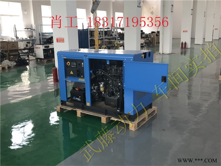 高碑店300KW汽油发电机5千瓦图1