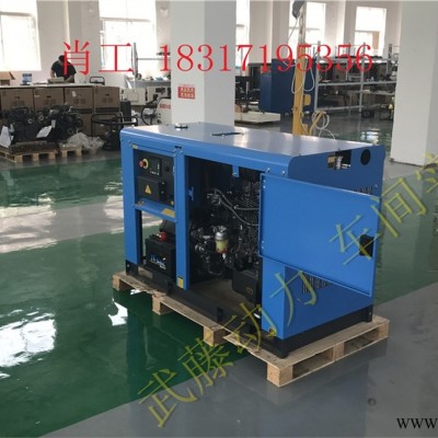 鲁甸县6千瓦家用小型汽油发电机