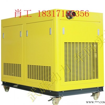 平顶山1kw10kw本田汽油发电机