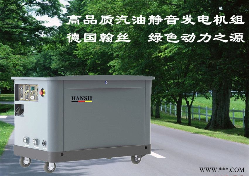 四缸水冷15KW三相汽油发电机HS15REG图1