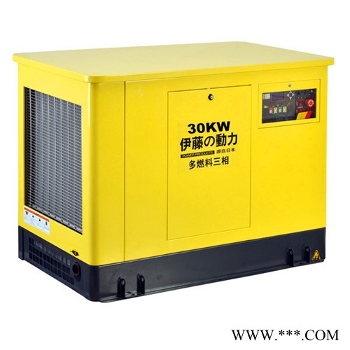 35kw汽油发电机/多燃料发电机厂家图1